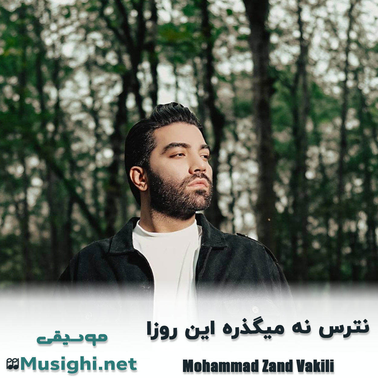 دانلود اهنگ نترس نه میگذره این روزا محمد زند وکیلی